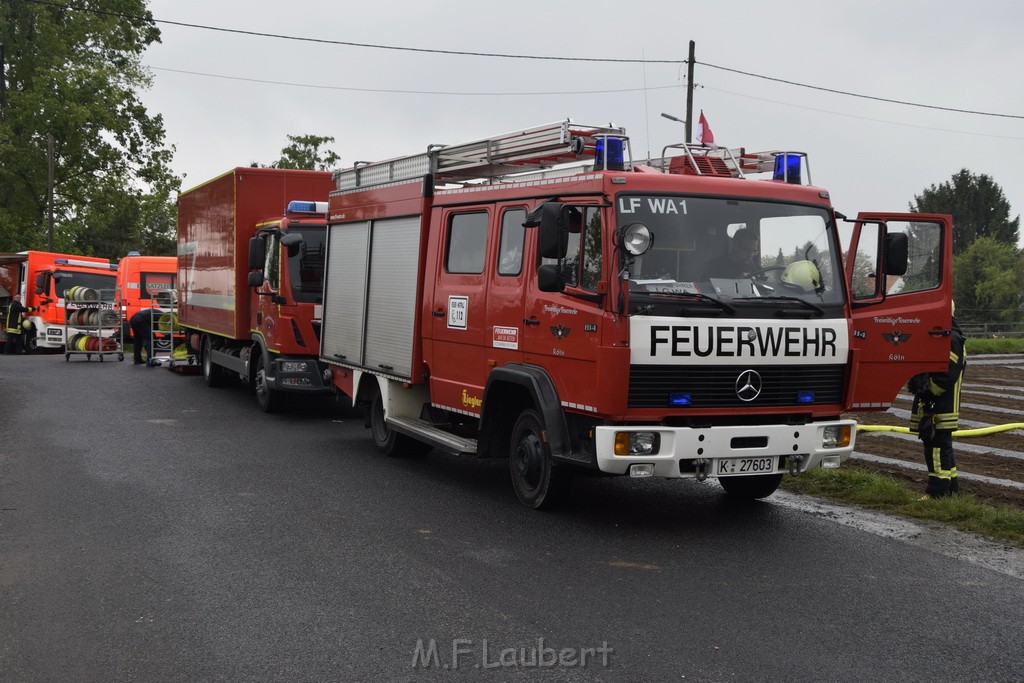 Feuer 3 Rheinkassel Feldkasseler Weg P2479.JPG - Miklos Laubert